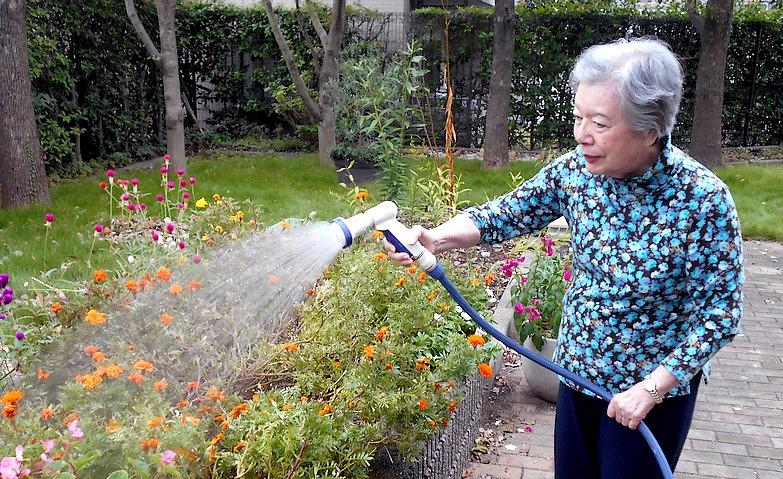 お花に水やりを			