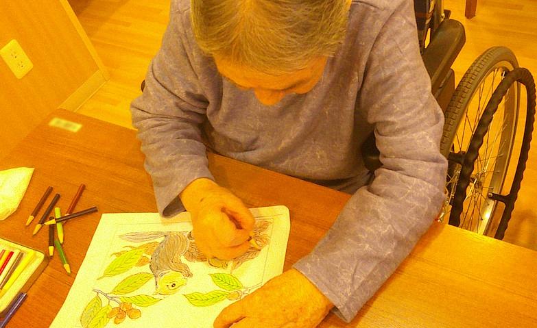 塗り絵～季節を感じて～