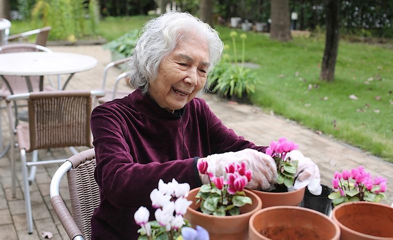 お花の植え替え