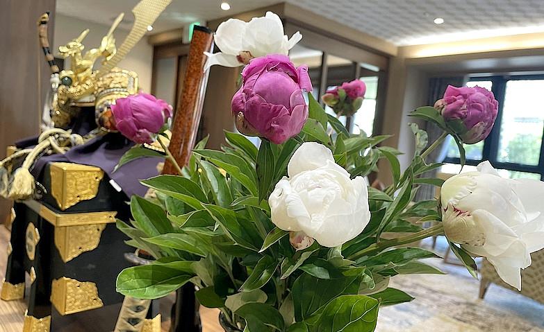 かぶととシャクヤク
