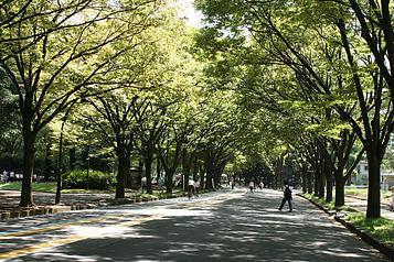 駒沢オリンピック公園