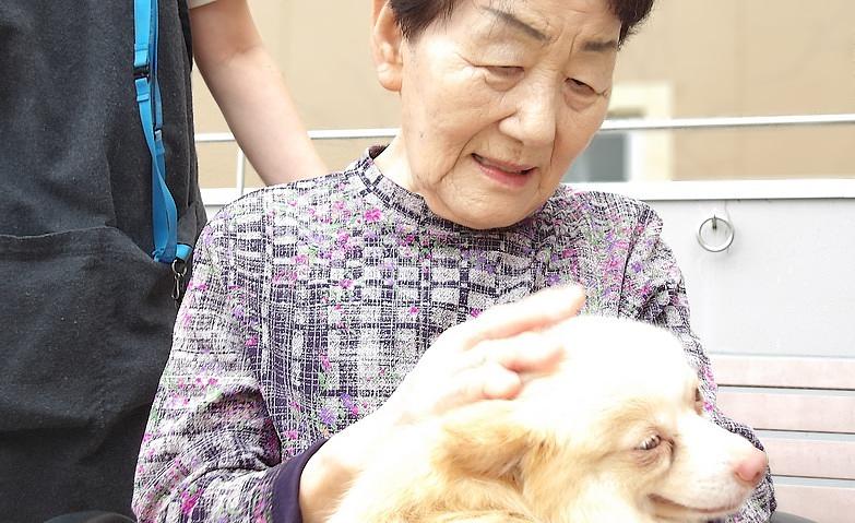 昔を想い出して