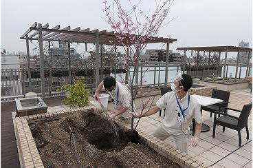 開設5周年行事② 記念御膳と桜の植樹画像4