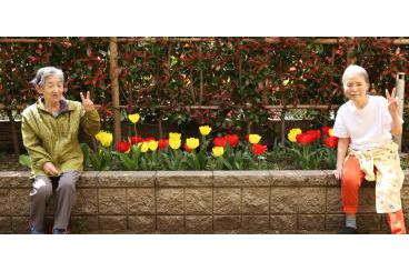 チューリップの花が画像4