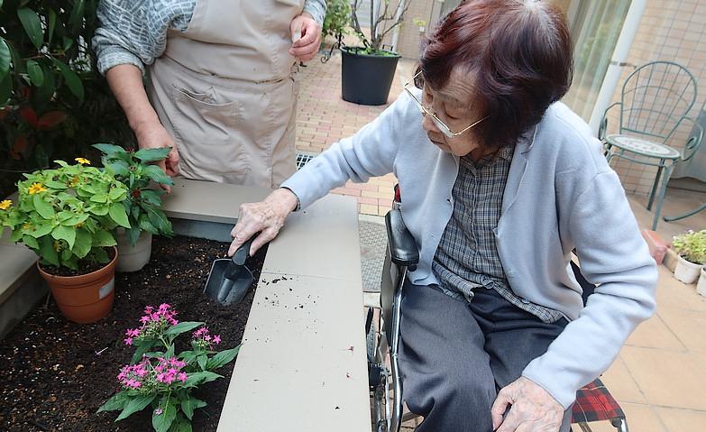 お花の植え替え