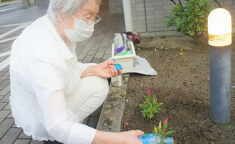 エントランスに秋の彩り