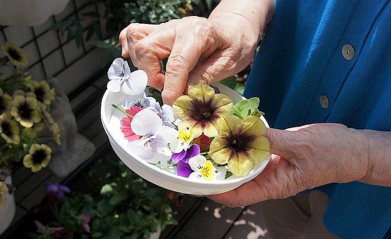 押し花で広がるシール作りの楽しみ