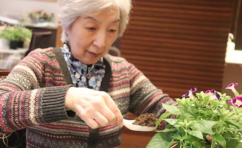 園芸アクティビティ～アサガオ～