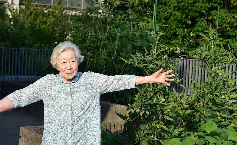 たくさん実っています！			