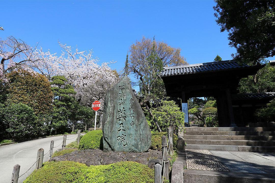 薬王院（東長谷寺）