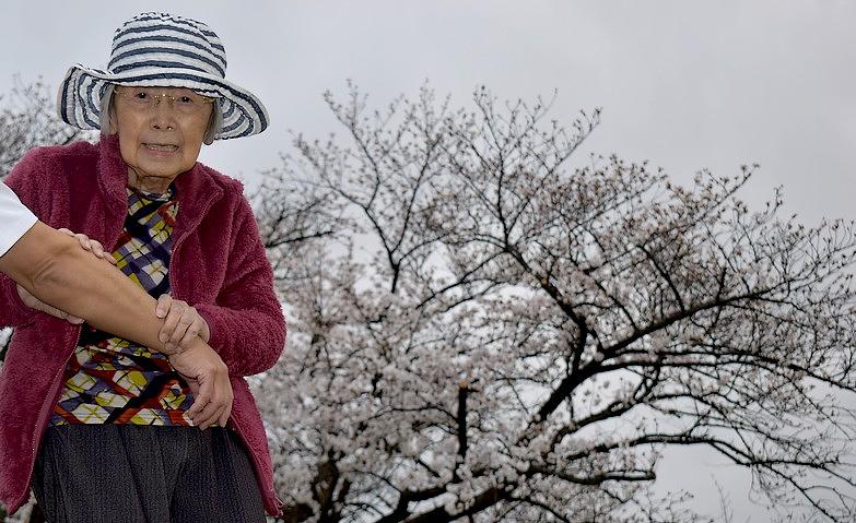 お花見散歩
