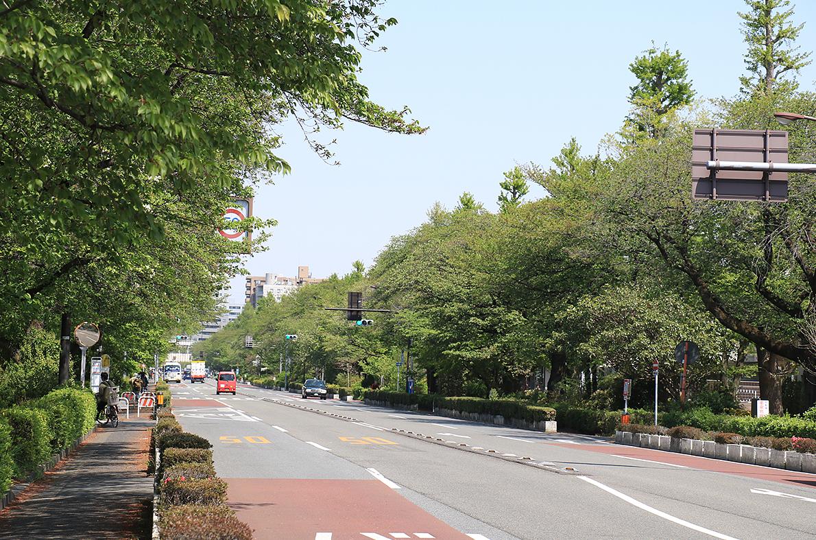 国立駅前 大学通り