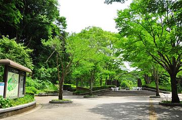 四季の森公園