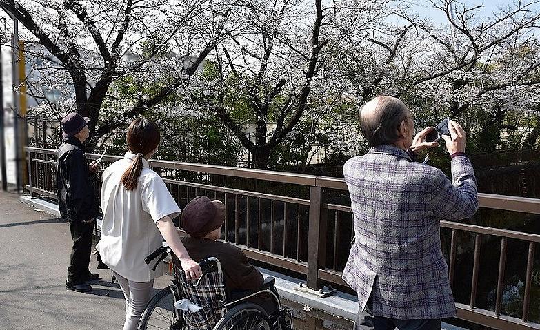 「これは見事！」