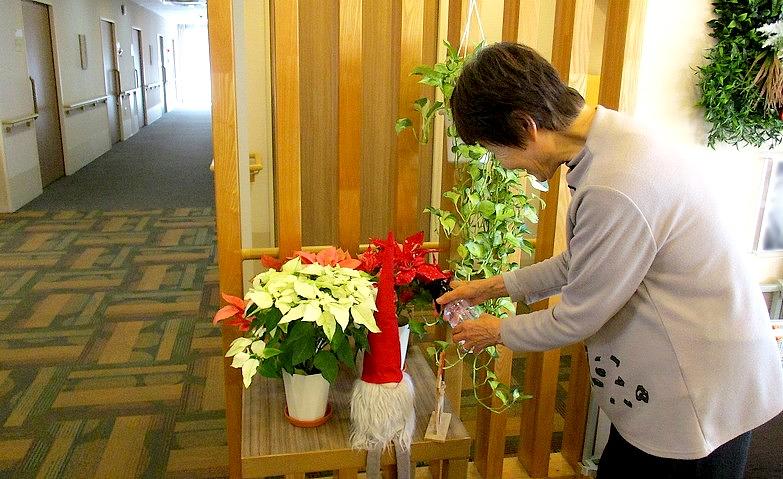 水やりで植物が元気に！