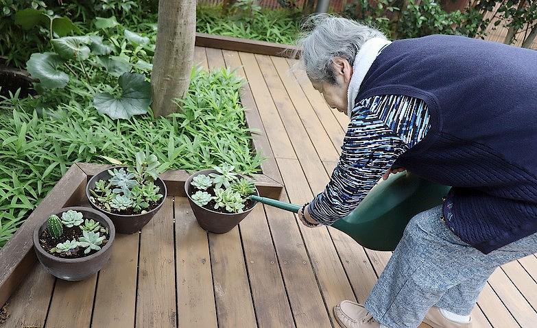 中庭の植物に今日も水を			