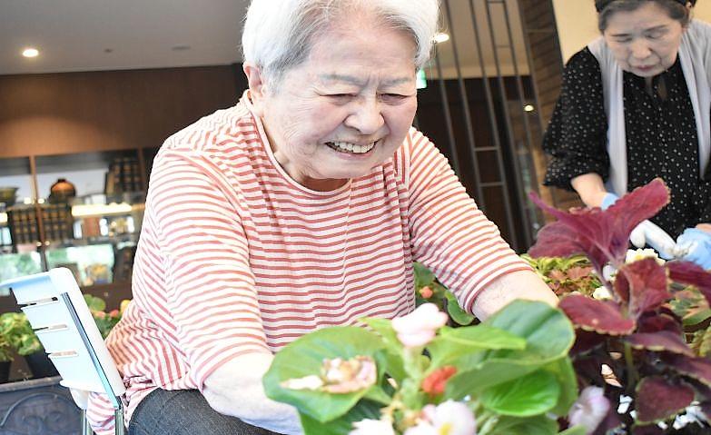 笑顔咲く季節の花の植え替え