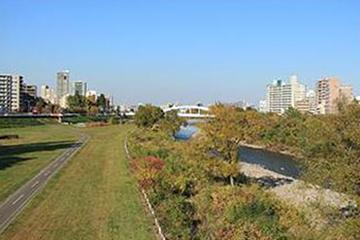 豊平川河川敷