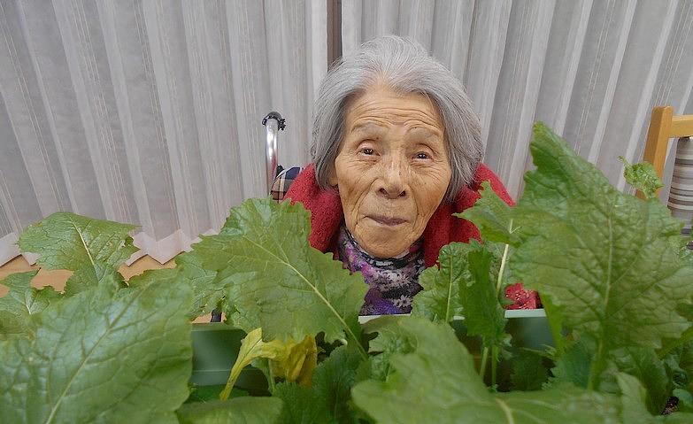 大きな葉っぱに見とれて