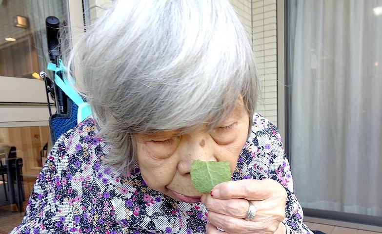 香りも楽しむ