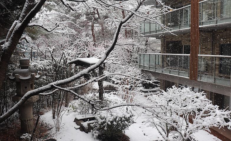 日本庭園の雪化粧