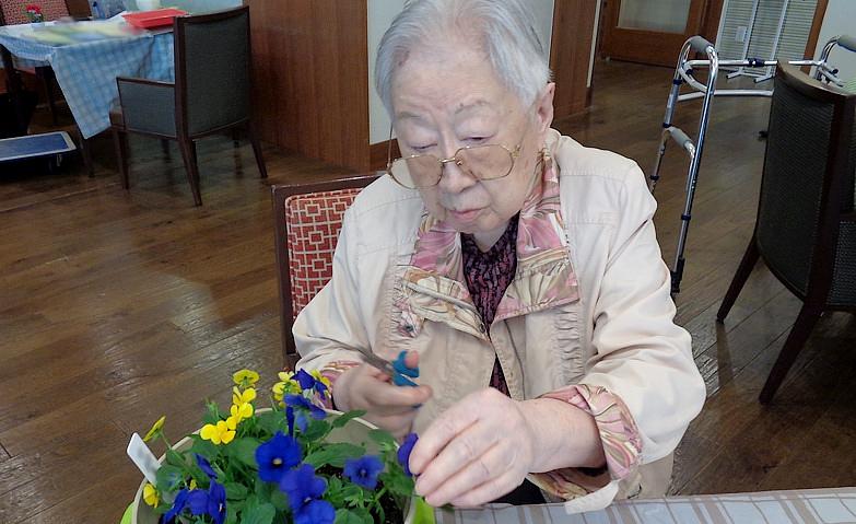 園芸教室～押し花～