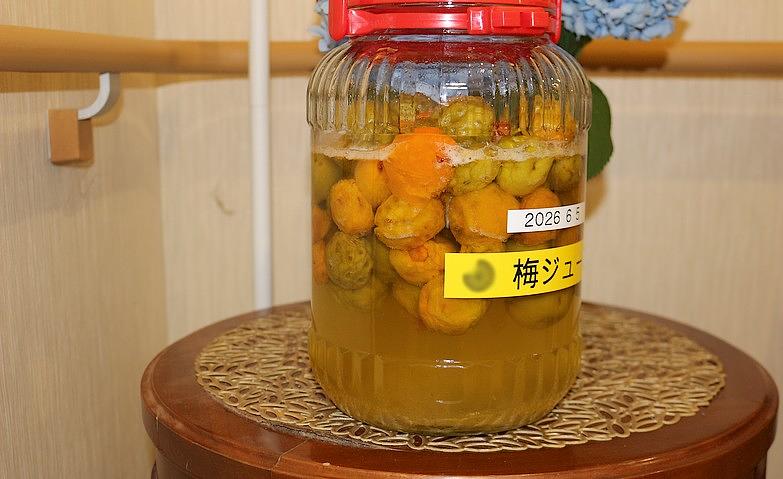 完成を待つ梅ジュース