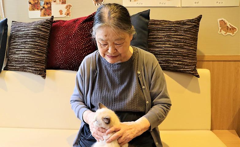 ワンちゃんとネコちゃんが来る日