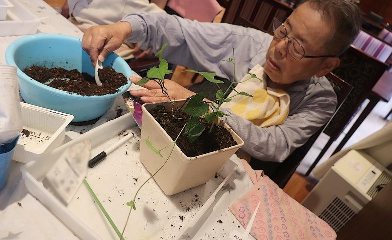 ～朝顔の植え付け～