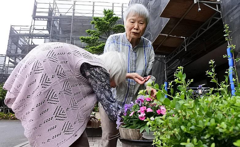 玄関前を彩る夏の寄せ植え