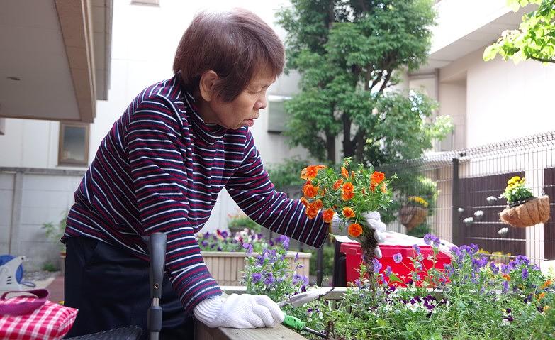 花の植え替え