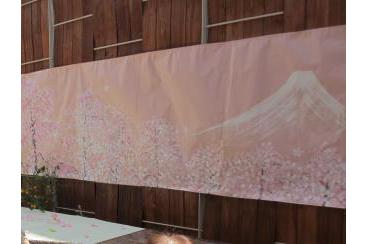 アリア文京大塚の“桜”画像1