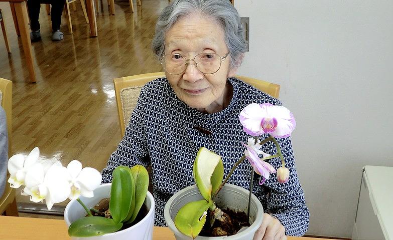 手塩にかけた蘭の花が咲きました