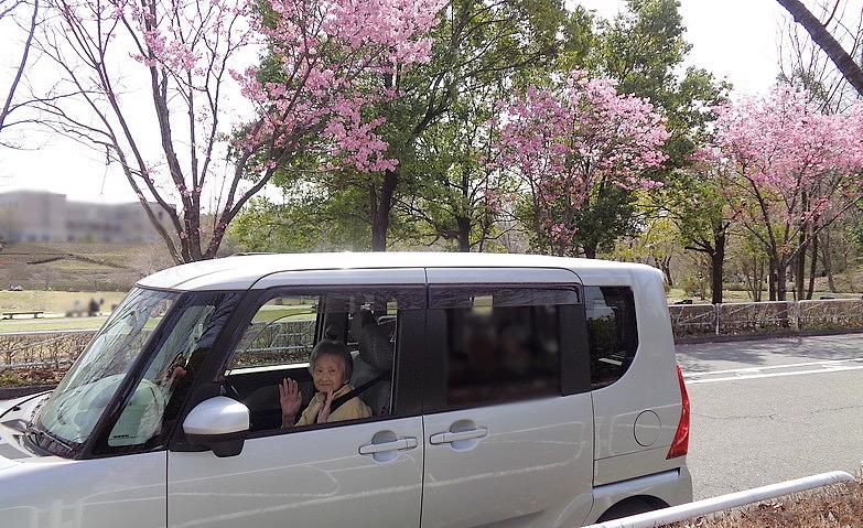 いざ、お花見ドライブへ！		
