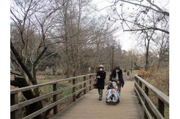 石神井公園をご家族様と散策画像3