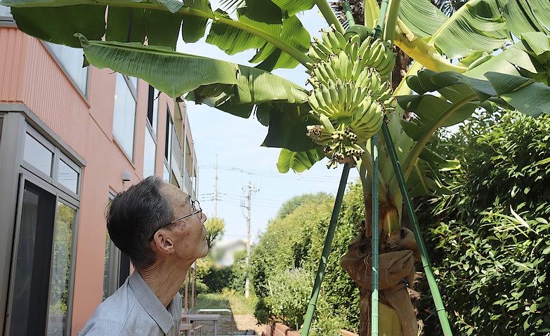 ホームが南国化⁉