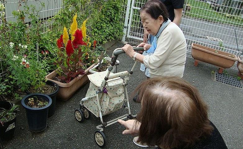 すくすく成長してます！