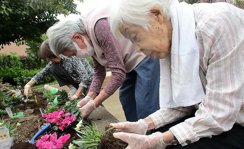 お庭のお花