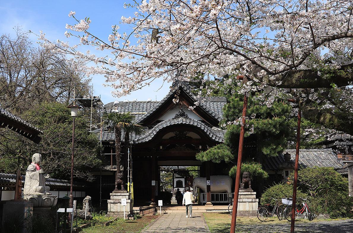 世田谷観音（世田谷山観音寺）