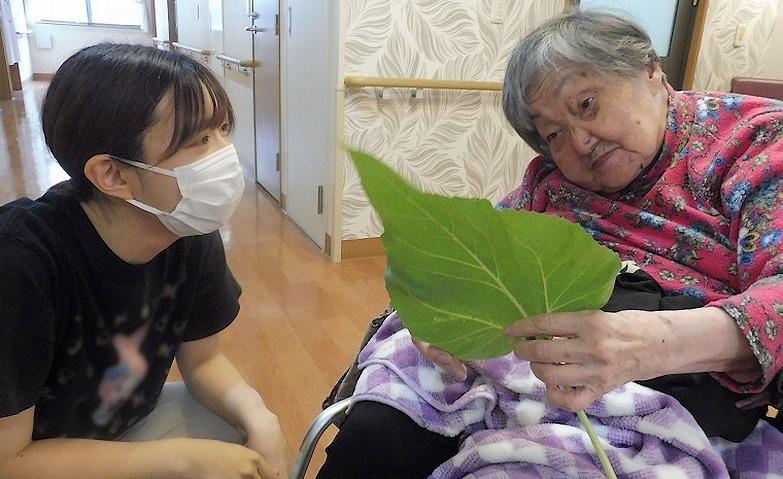 「なんの葉っぱかな？」