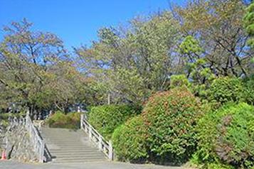 飛鳥山公園