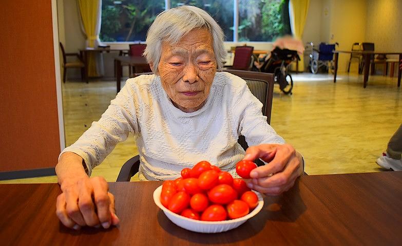 大量のトマトにびっくり！			