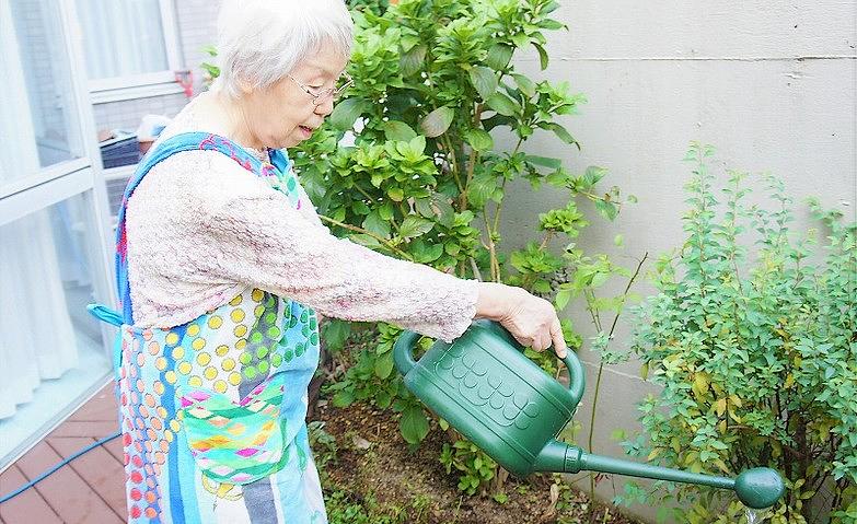 お花たちとの会話