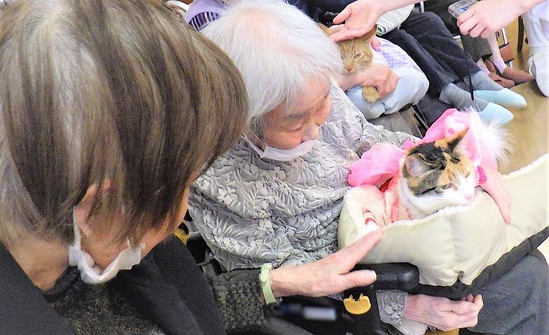 猫ちゃんを抱っこ			