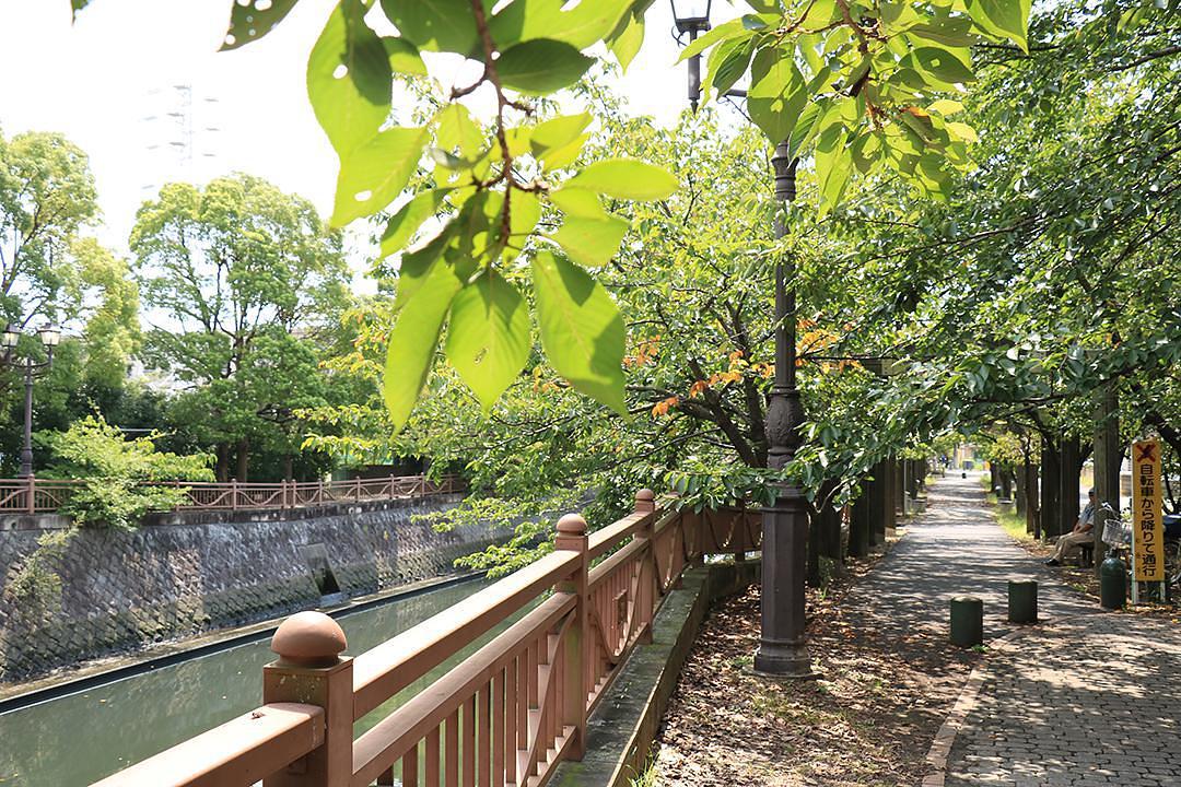 海老川遊歩道