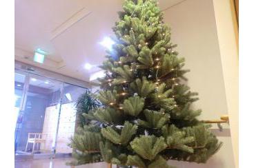 クリスマスの木が出現！画像1