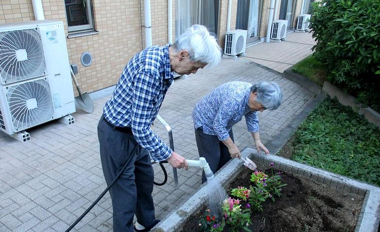 もっとはなやかな花壇へ！