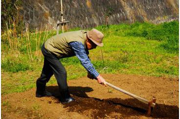 ファーム鎌倉山 畑の水やりと土を耕す画像3