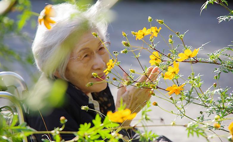 小さい秋みつけた