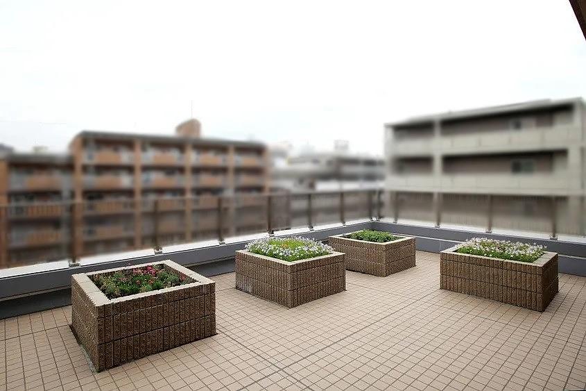 3F テラス
